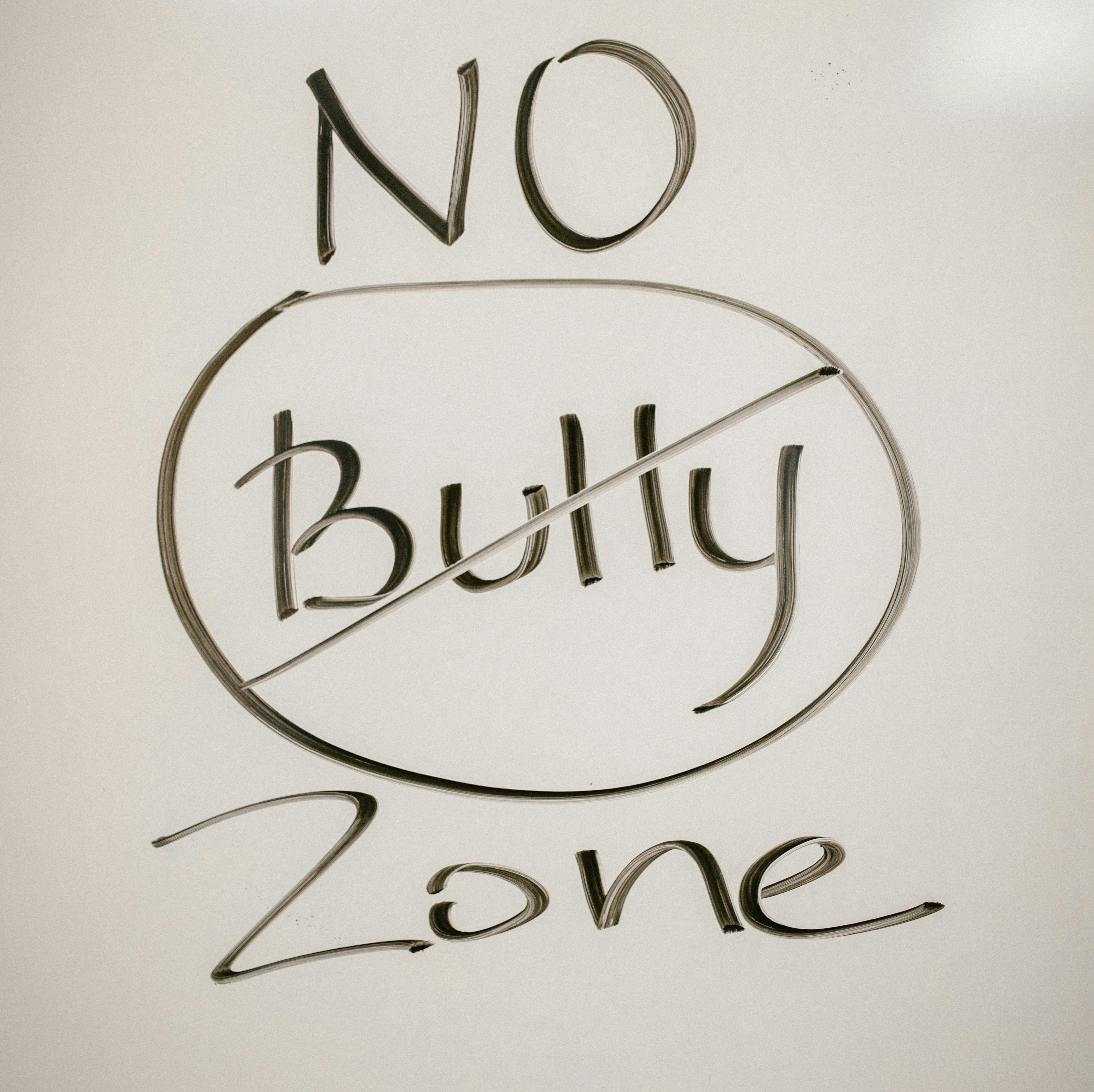 No bully zone, written in black pen on a white paper